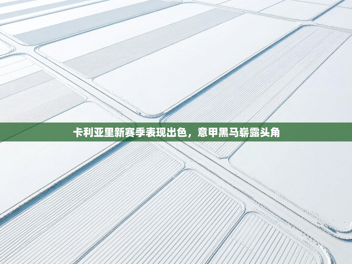 卡利亚里新赛季表现出色，意甲黑马崭露头角