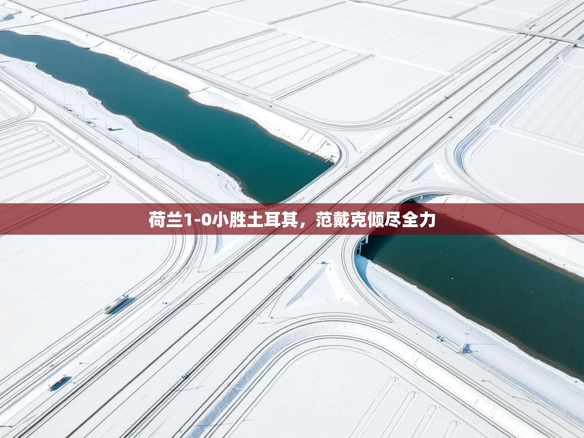 荷兰1-0小胜土耳其，范戴克倾尽全力